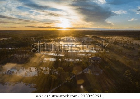 Estonian swamp Viru, Viruraba, at sunrise in summer. High quality photo