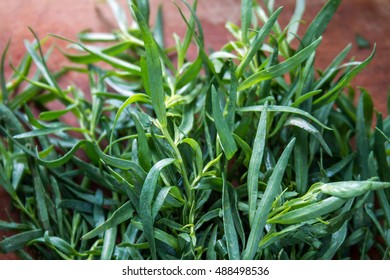 The estragon (tarragon) bundle on the table. The fresh tarragon (Artemisia dracunculus) sprigs.