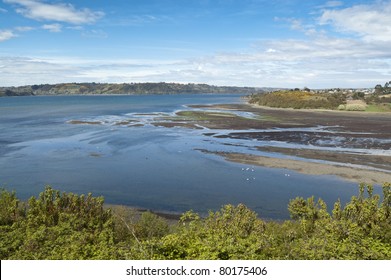 Estuary In Castro. Castro Is The Capital Of Chiloe Province, In The Los Lagos Region, Chile