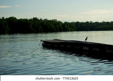 Estuary With Little Boat Port In The Mangrove Called 