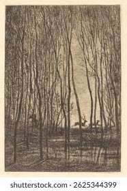 Etching of a forest with tall, thin trees. Sparse foliage. Calm, natural scene. Vintage style artwork. Monochrome tones. Vintage nature painting, old nature illustration.