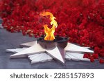 The eternal flame burns against the background of red carnations in blur. Close up. Selective focus.