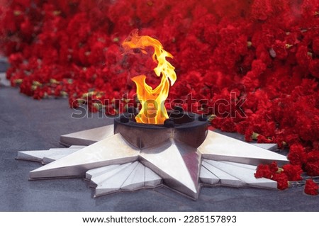 The eternal flame burns against the background of red carnations in blur. Close up. Selective focus.