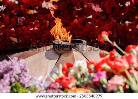 Eternal flame in the middle of red carnations and different colors, Victory Day holiday on May 9th in Russia.