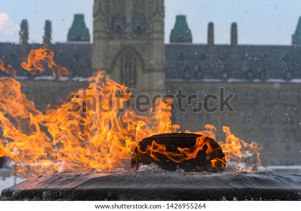 Eternal Flame Ottawa Canada Royalty Free Stock Image