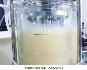 Ethanol Fermentation Using Yeast In Laboratory Fermentor Or Fermenter