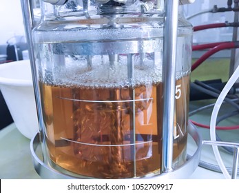Ethanol fermentation using yeast in laboratory fermentor or fermenter