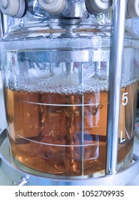 Ethanol Fermentation Using Yeast In Laboratory Fermentor Or Fermenter