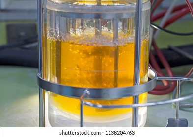 Ethanol Fermentation Using Yeast In Laboratory Fermentor Or Ferm