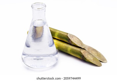 Ethanol Fuel On Isolated White Background With Sugar Cane On The Side.