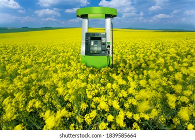 Ethanol Fuel Pump Placed In A Field Of Flowers On A Bright, Sunny Day.