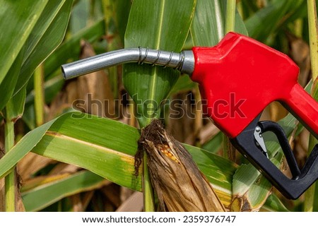 Ethanol gasoline fuel nozzle with ear of corn in cornfield. Biofuel, agriculture and ethanol blending concept.