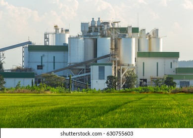 Ethanol Industrial Refinery With Rice Fields In The Foreground.