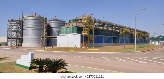 Ethanol Plant Producing Ethanol With Corn. All Months Of The Years, 24 Hours Per Day. Most Sustainability Power Plant Of This Country.