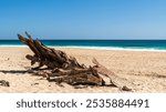 Ethel Wreck Beach with rusty ship debris viewed on a bright day, Yorke Peninsula, South Australia