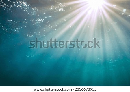 Ethereal blue sunbeam illuminating mesmerizing underwater scene.