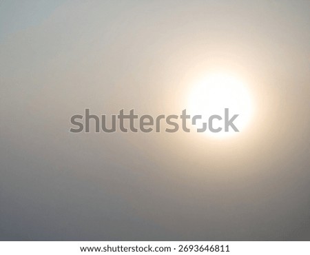 An ethereal light is diffused through mist, creating a soft and calming atmospheric effect of nature at daytime.