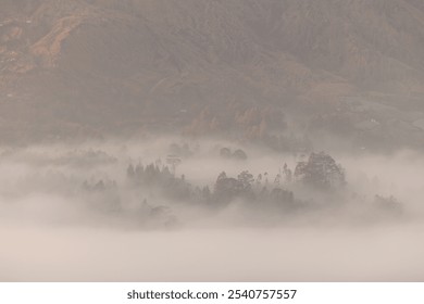 An ethereal morning scene as mist drifts through the trees on Mount Batur. - Powered by Shutterstock