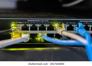 A lot of Ethernet cables (RJ45) plug into an enterprise network switch to connect to the internet.