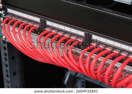 Ethernet data switch with connected patchcords with Rj45 connectors. 