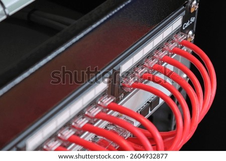 Ethernet data switch with connected patchcords with Rj45 connectors. 