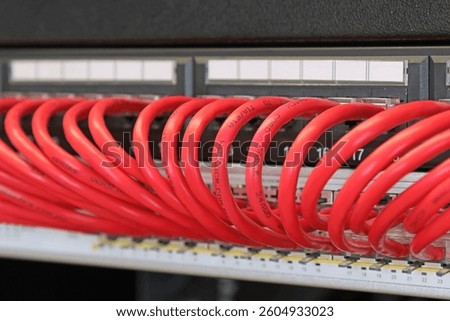 Ethernet data switch with connected patchcords with Rj45 connectors. 