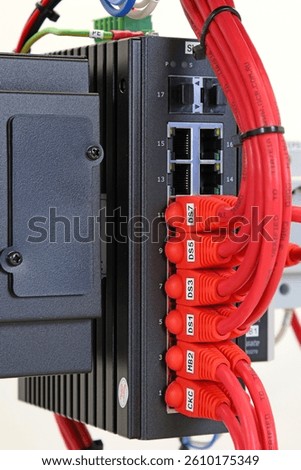 Ethernet data switch with connected patchcords with Rj45 connectors. 