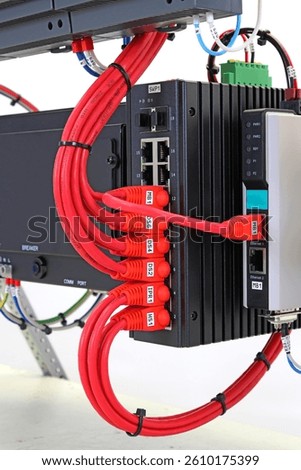 Ethernet data switch with connected patchcords with Rj45 connectors. 