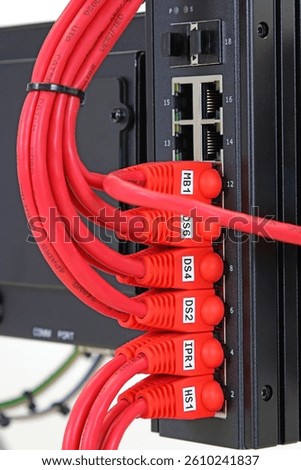 Ethernet data switch with connected patchcords with Rj45 connectors. 