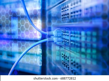 Ethernet Network Cables Connected To Internet Switch.