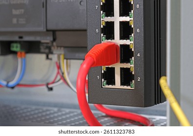 Ethernet switch with connected patchcords with Rj45 connectors. 