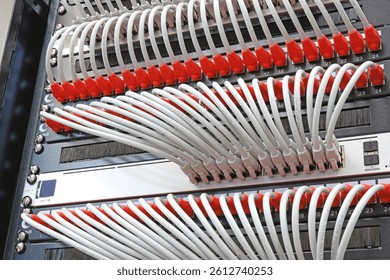 Ethernet switch with connected patchcords with Rj45 connectors. 