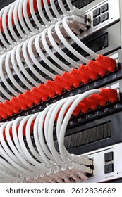 Ethernet switch with connected patchcords with Rj45 connectors. 