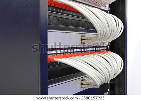 Ethernet switch with connected patchcords with Rj45 connectors. 