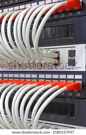 Ethernet switch with connected patchcords with Rj45 connectors. 