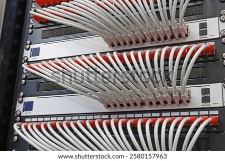 Ethernet switch with connected patchcords with Rj45 connectors. 