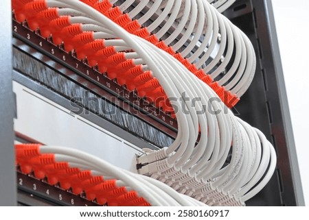 Ethernet switch with connected patchcords with Rj45 connectors. 