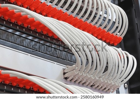 Ethernet switch with connected patchcords with Rj45 connectors. 