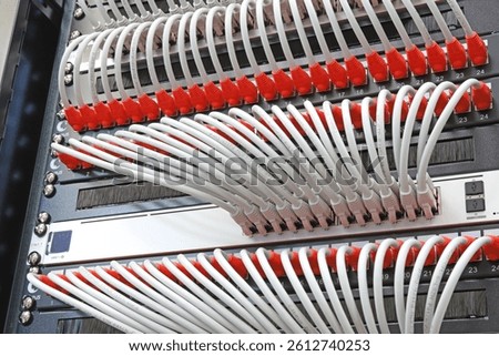 Ethernet switch with connected patchcords with Rj45 connectors. 