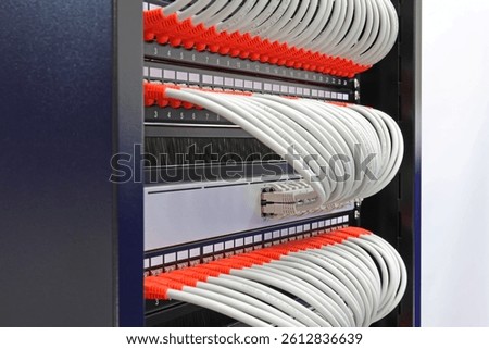 Ethernet switch with connected patchcords with Rj45 connectors. 