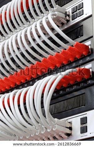 Ethernet switch with connected patchcords with Rj45 connectors. 