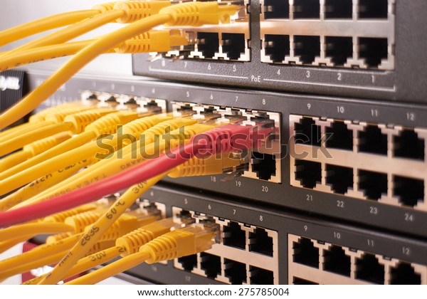 ethernet-switches-patching-cord-stock-photo-275785004-shutterstock