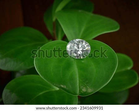Ethical Diamond. Lab-Grown Diamond on Green Leaf Background. Oval Cut Gemstone. 