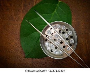 Ethical Loose Diamonds in Sieve. Photograph of Lab Grown 'Green' Diamonds with Tweezers and Green Leaf. 