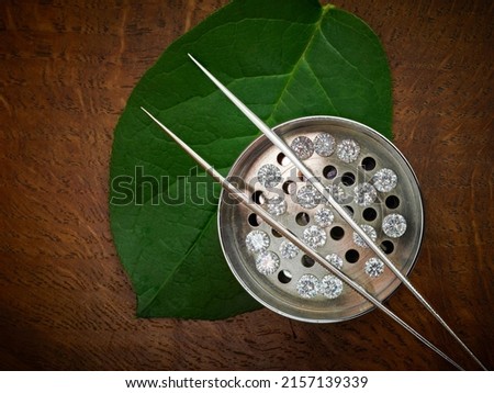 Ethical Loose Diamonds in Sieve. Photograph of Lab Grown 'Green' Diamonds with Tweezers and Green Leaf. 