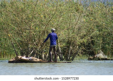 Ethiopia / Arba Mintch - 15feb19: Nechisar National Park