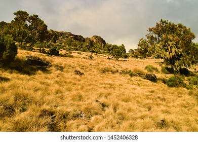 Ethiopia. The Road Leading To Mount RAS Dashen.