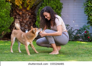Ethnic arab woman playing with her dog in the garden. Playful time with pets, leisure with healthy animals. Female throwing a ball and training her shiba inu dog. Animals lovers lifestyle.