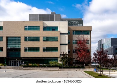 Etobicoke, On, Canada - October 11, 2020: University Of Guelph-Humber Building Is Seen In Etobicoke, On, Canada On October 11, 2020, A Collaboration Between The University Of Guelph And Humber College