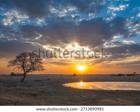 Etospha Waterhole at sunset - Namibia